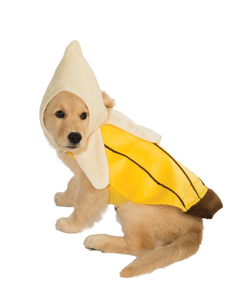 Rubies Banana Pet Costume for Dogs or Cats, XL - Image 1